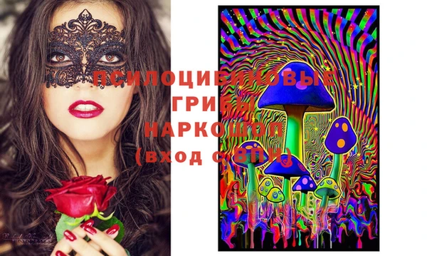 мяу мяу мука Абинск